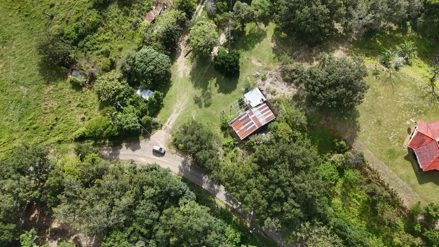 FINCA GUAYABO BAGACES GANADERA Y FORESTAL