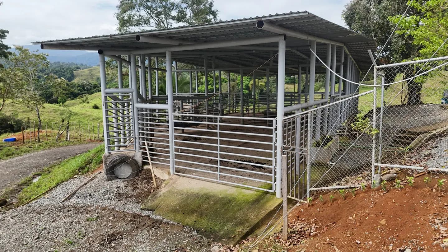 FINCA GANADERA PREMIUM – Matina, Limón.