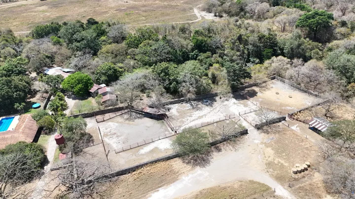 Hacienda Ganadera Premium en Guanacaste – 1,274 Hectáreas
