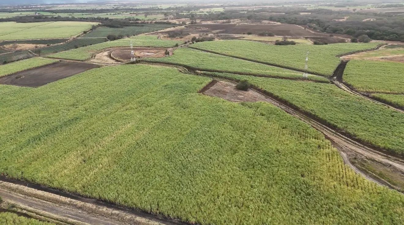 FINCA PREMIUM-CAÑA Y PASTO TRASVALA