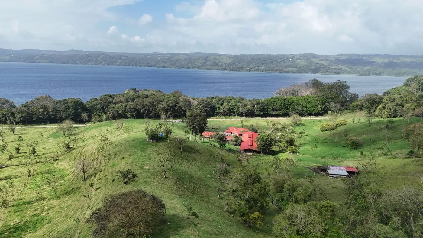 LECHERÍA DOS PINOS EN TRONADORA TILARÁN
